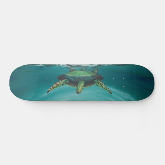 Schildkröteüberfahrt Skateboard (Horizontal)