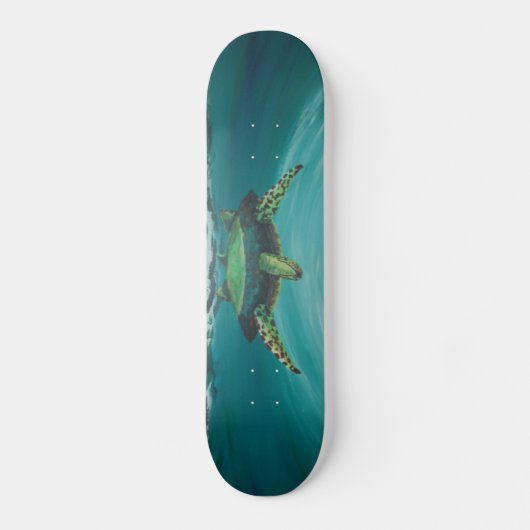 Schildkröteüberfahrt Skateboard (Vorderseite)