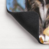 Schildpatt-Kätzchen 1 Mousepad (Ecke)