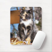 Schildpatt-Kätzchen 1 Mousepad (Mit Mouse)