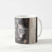 Schildpatt-Kätzchen Kaffeetasse (VorderseiteRechts)