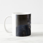 Schildpatt-Kätzchen Kaffeetasse (Links)