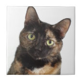 Schildpatt-Katze Fliese (Vorderseite)