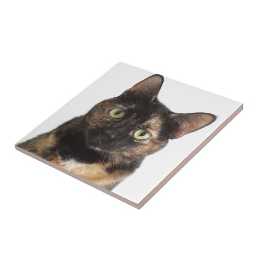 Schildpatt-Katze Fliese (Seite)