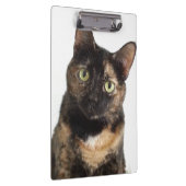 Schildpatt-Katze Klemmbrett (Rechts)