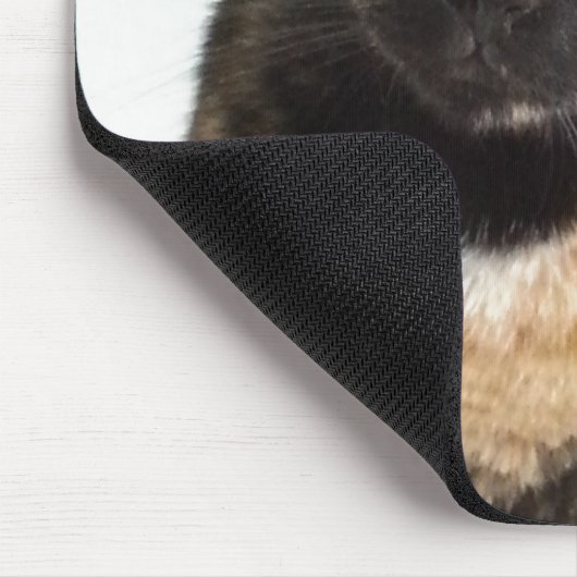 Schildpatt-Katze Mousepad (Ecke)