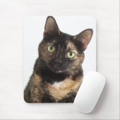 Schildpatt-Katze Mousepad (Mit Mouse)
