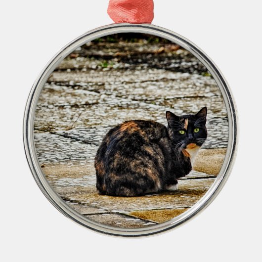 Schildpatt-Katze Ornament Aus Metall (Vorne)