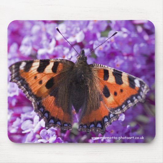 Schildpatt-Mauspad Mousepad (Vorne)