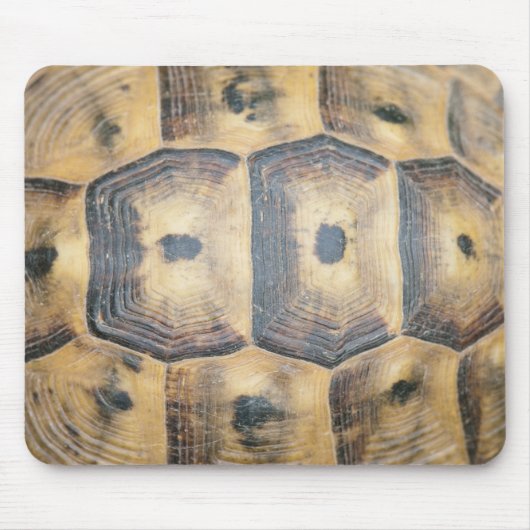 Schildpatt-Muster Mousepad (Vorne)