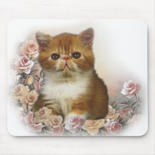 Schildpatt-Perserporträt Mousepad (Vorne)