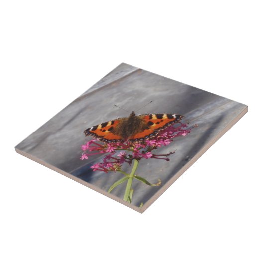 Schildpatt-Schmetterling Fliese (Seite)