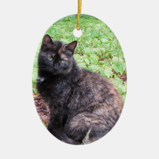 Schildpatt-schwarze Katzen-Garten Keramikornament (Vorne)