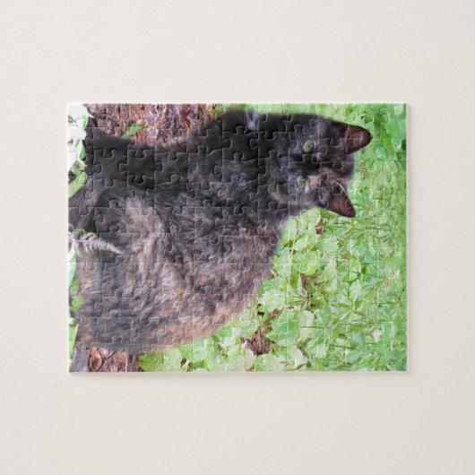 Schildpatt-schwarze Katzen-Garten Puzzle (Horizontal)