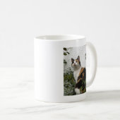 Schildpatt und weiße Katze Kaffeetasse (VorderseiteRechts)