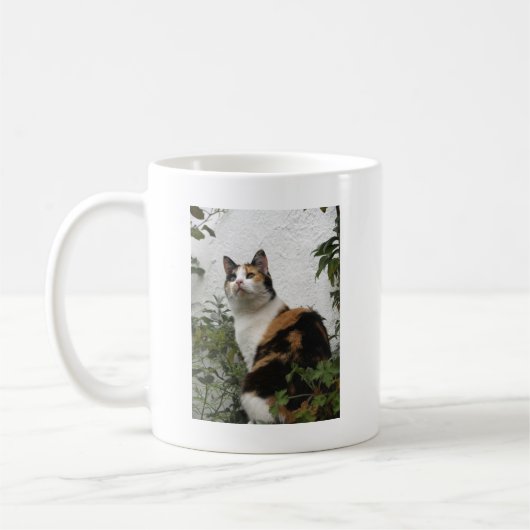 Schildpatt und weiße Katze Kaffeetasse (Links)