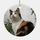 Schildpatt und weiße Katze Keramikornament (Hinten)