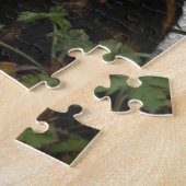 Schildpatt und weiße Katze Puzzle (Seite)