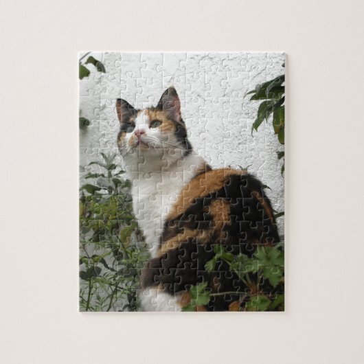 Schildpatt und weiße Katze Puzzle (Vertikal)