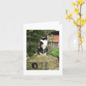 Schildpatt- und Weißkater Karte (Gelbe Blume)