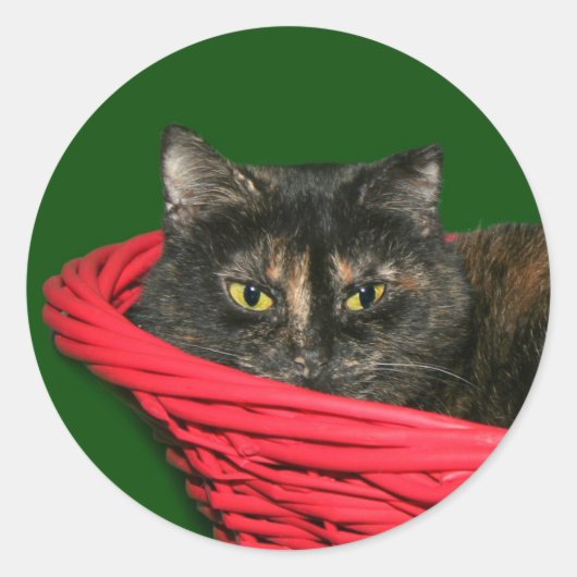 Schildpatt-Weihnachten Runder Aufkleber (Vorderseite)