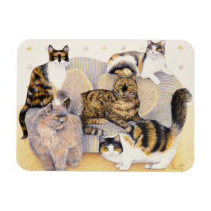 Schildpattdamen Magnet