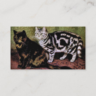Schildpattund Silbertabby-Katzen Visitenkarte