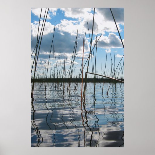 Schilf am Rice Lake – Oberhalb der Halbinsel Poster (Vorne)
