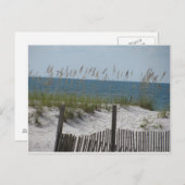 Schilf am Strand Postkarte (Vorne/Hinten)