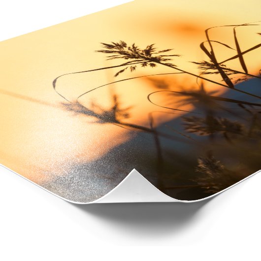 Schilf bei Sonnenuntergang im Foto drucken. (Ecke)