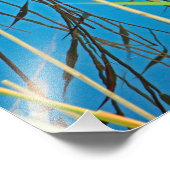 Schilf im See Fotodruck (Ecke)