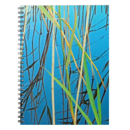 Schilf im See Notizblock (Vorderseite)