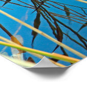 Schilf im See Poster (Ecke)