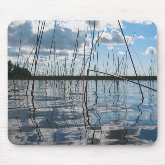 Schilf und Reflexionen am Rice Lake Mousepad (Vorne)