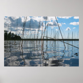 Schilf und Spiegelungen am Rice Lake Poster