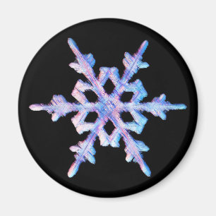 Schillernde Schneeflocke Magnet