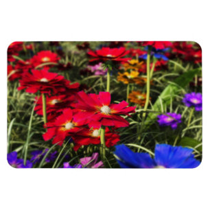 Schillernder Frühlings-flexibler Magnet