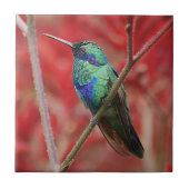 Schillernder Glanz Fliese (Vorderseite)