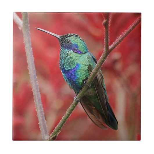 Schillernder Glanz Fliese (Vorderseite)