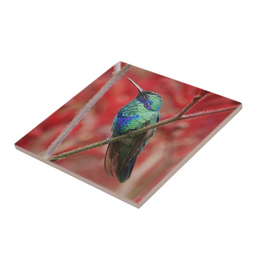 Schillernder Glanz Fliese (Seite)