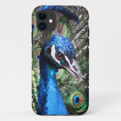 Schillernder Pfau Case-Mate iPhone Hülle (Rückseite)