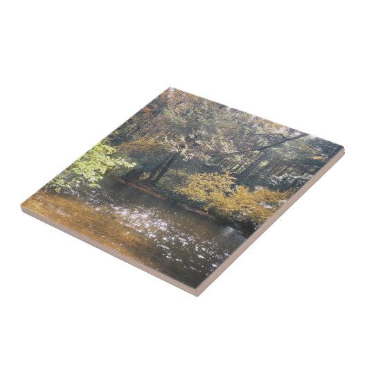 Schimmer Fliese (Seite)