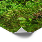 Schimmernde Gewässer Poster (Ecke)