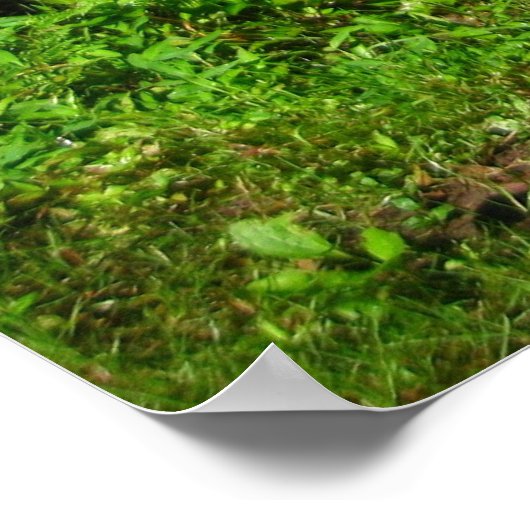 Schimmernde Gewässer Poster (Ecke)