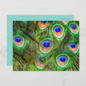 Schimmernde Peacock Feathers Postkarte (Vorne/Hinten)