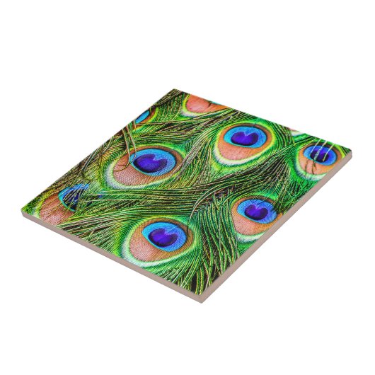 Schimmernde Pfauenfedern Fliese (Seite)