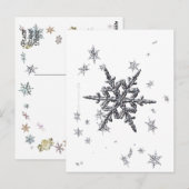 Schimmernde Schneeflocke Postkarte (Vorne/Hinten)