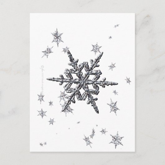 Schimmernde Schneeflocke Postkarte (Vorderseite)