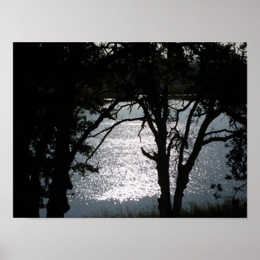 "Schimmernde Silhouetten" Poster (Vorne)