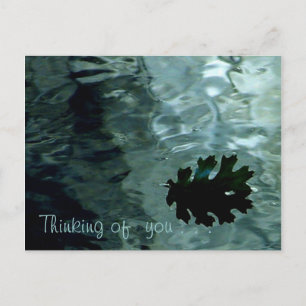 Schimmernde Teichpostkarte Postkarte